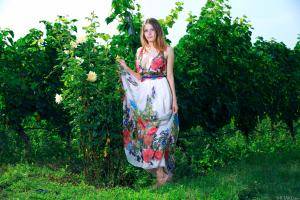 Original 6720 px/ 4480 px