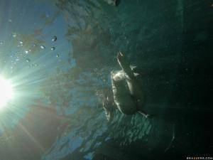 Original 2217 px/ 1663 px