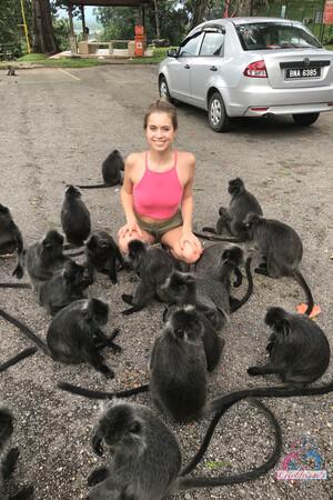 Original 2000 px/ 3000 px