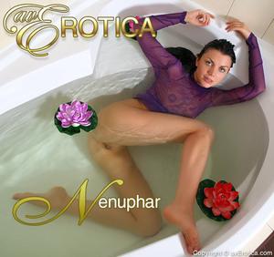 Original 692 px/ 650 px