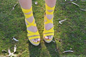 Original 2464 px/ 1640 px