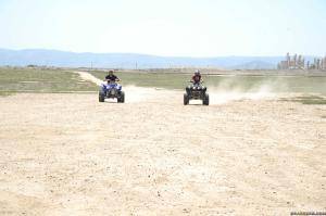 Original 2499 px/ 1663 px