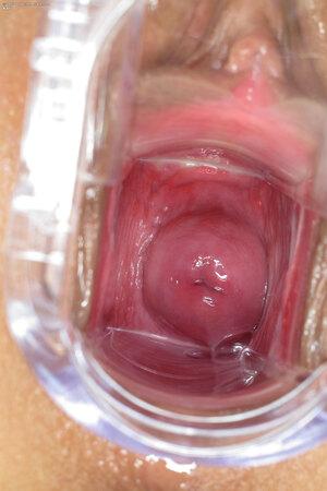 Original 1600 px/ 2400 px