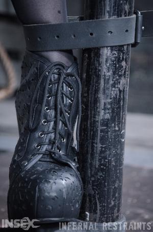 Original 795 px/ 1200 px