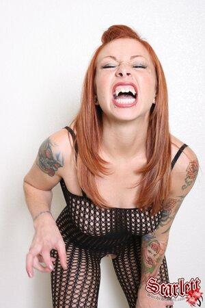 Original 1152 px/ 1728 px