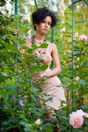 Original 2832 px/ 4256 px