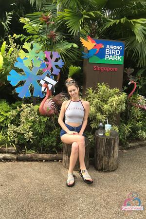 Original 2000 px/ 3000 px