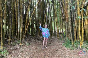 Original 3000 px/ 2000 px