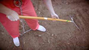 Original 1200 px/ 675 px