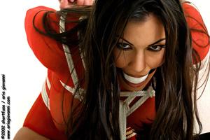 Original 2048 px/ 1364 px