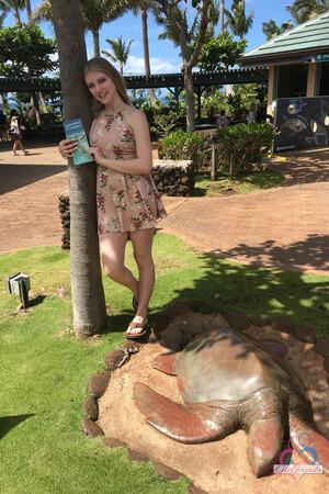 Original 2000 px/ 3000 px