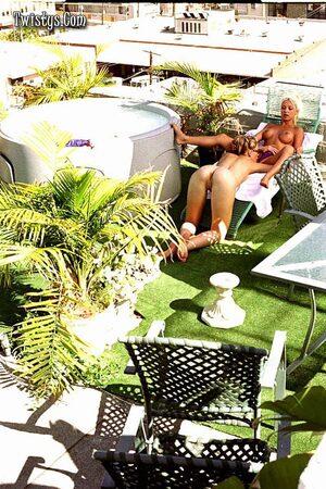 Original 533 px/ 800 px