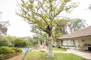 Original 2499 px/ 1663 px