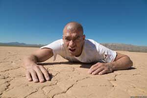 Original 2495 px/ 1663 px