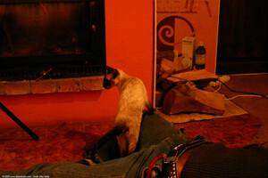 Original 1536 px/ 1024 px