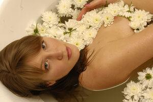 Original 2500 px/ 1662 px