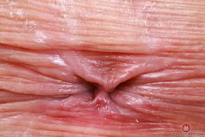 Original 5000 px/ 3333 px