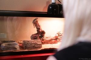 Original 1920 px/ 1280 px