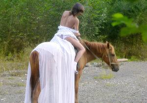 Original 2000 px/ 1397 px