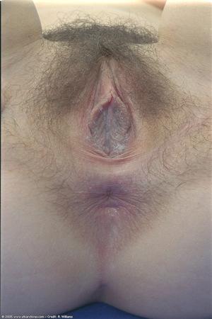 Original 682 px/ 1024 px