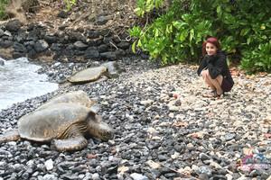 Original 3000 px/ 2000 px