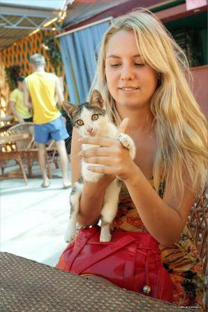 Original 854 px/ 1280 px