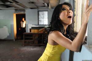 Original 2499 px/ 1663 px