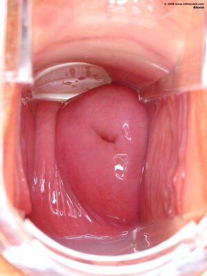 Original 1200 px/ 1600 px