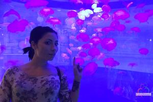 Original 3000 px/ 2000 px