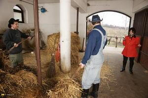 Original 1680 px/ 1120 px