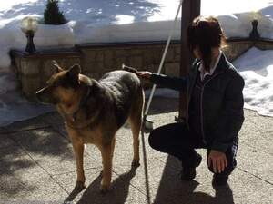 Original 1600 px/ 1200 px