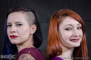 Original 1200 px/ 795 px