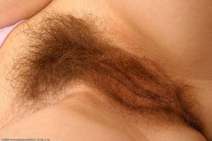 Original 1024 px/ 682 px