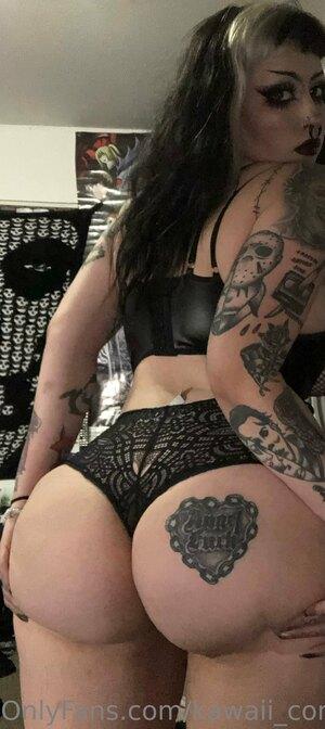 Original 1411 px/ 3162 px