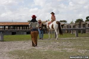 Original 800 px/ 533 px