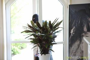 Original 3500 px/ 2333 px