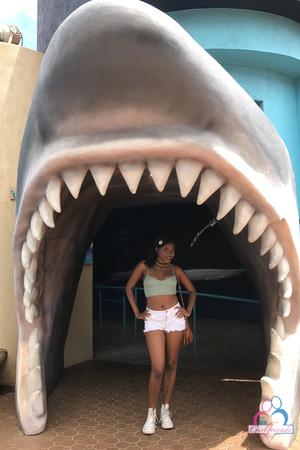 Original 2000 px/ 3000 px