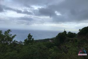 Original 3000 px/ 2000 px