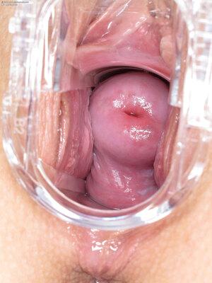 Original 1800 px/ 2400 px