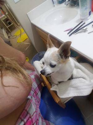 Original 1125 px/ 1500 px