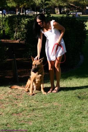 Original 1333 px/ 2000 px