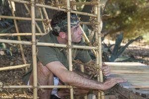 Original 2495 px/ 1663 px