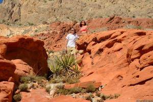 Original 2492 px/ 1663 px