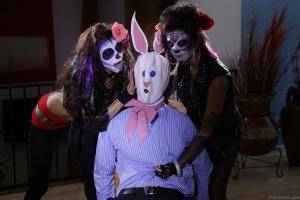 Original 1920 px/ 1280 px