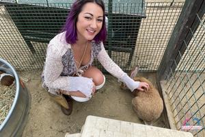 Original 3000 px/ 2000 px