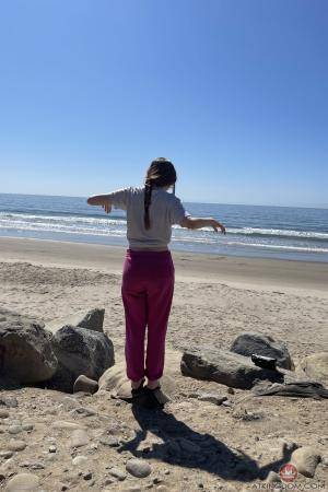 Original 2000 px/ 3000 px