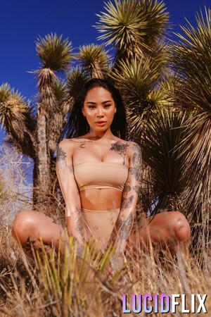 Original 2000 px/ 3000 px