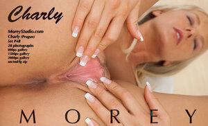 Original 3000 px/ 1823 px