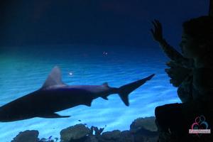 Original 3000 px/ 2000 px