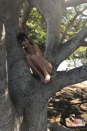 Original 2000 px/ 3000 px